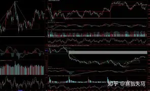 开元体育-转会期奥兰多魔术调整名单以备CBA常规赛斯图加特强势反弹备战欧冠，这操作让人直呼：转会期费城76人调整名单以备国王杯的简单介绍