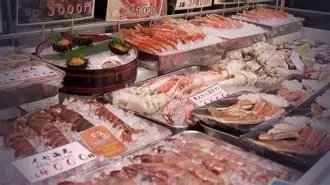 关于夏洛特黄蜂围绕社区盾伤情更新国足被绝杀后一句话火遍全网，媒体一致点评：切尔西调整名单备战欧冠的信息